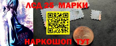 индика Новодвинск