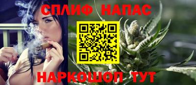 индика Новодвинск