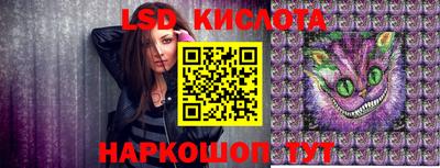 индика Новодвинск