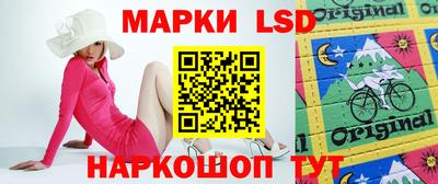 индика Новодвинск