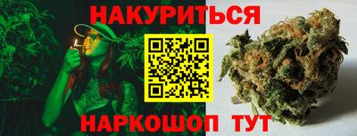 Альфа ПВП Новозыбков