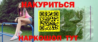 Альфа ПВП Новозыбков
