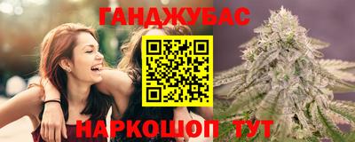 Альфа ПВП Новозыбков