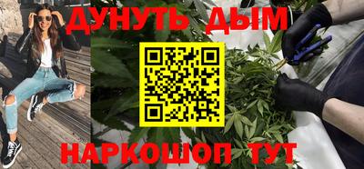 индика Новодвинск