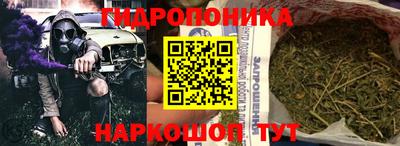 Альфа ПВП Новозыбков