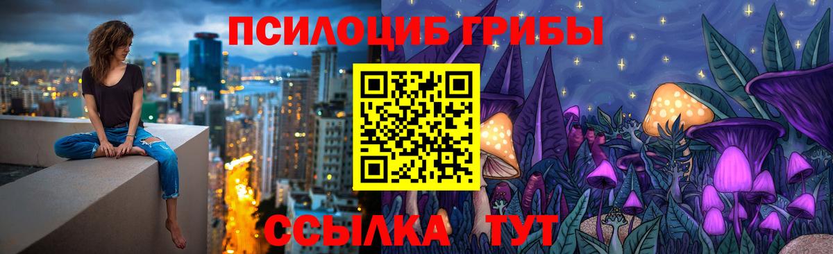 Псилоцибиновые грибы MAGIC MUSHROOMS  Галлюциногенные грибы Psilocybe  Барнаул  Вход с VPN 